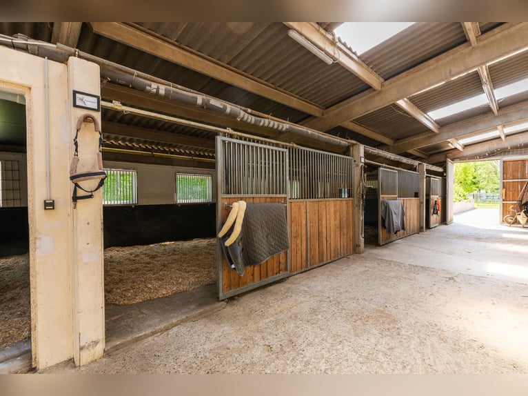 Struttura equestre di altissimo livello