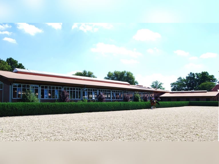 Struttura equestre di lusso con ampio spazio abitativo e comfort elevato