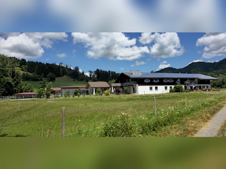 Struttura equestre esclusiva con potenziale residenziale e di rendimento in Alta Algovia