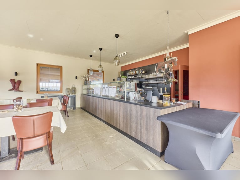 Struttura equestre in Mecklenburg-Vorpommern in vendita – Centro ippico sul lago!