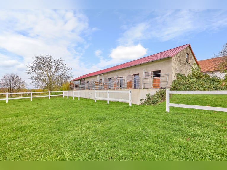 Struttura equestre in posizione isolata nel distretto di Main-Kinzig in vendita – con grande casale 