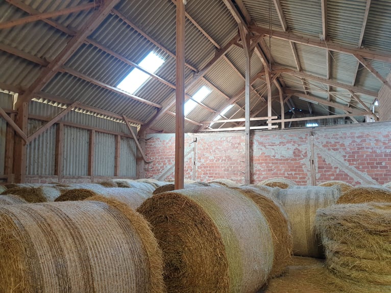 Struttura equestre nel Harz a Bad Sachsa – Grande azienda agricola con maneggio coperto in posizione