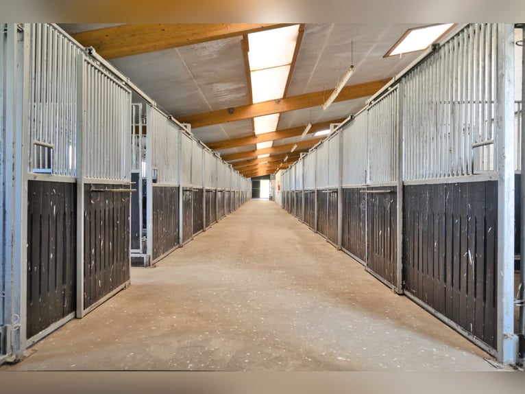 Struttura equestre unica nei pressi di Potsdam, con 16 ettari di terreno pianeggiante.
