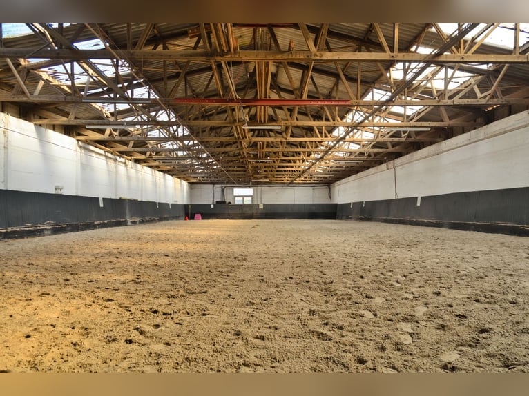 Struttura equestre unica nei pressi di Potsdam, con 16 ettari di terreno pianeggiante.