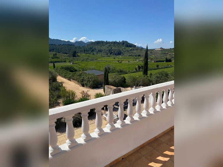 STUNNING EQUESTRIANPROPERTY/LANDHOUSE NEAR XATIVA/VALENCIA