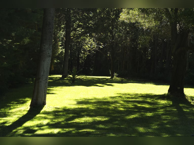 SUD SPAGNA. FATTORIA E CASA RURALE