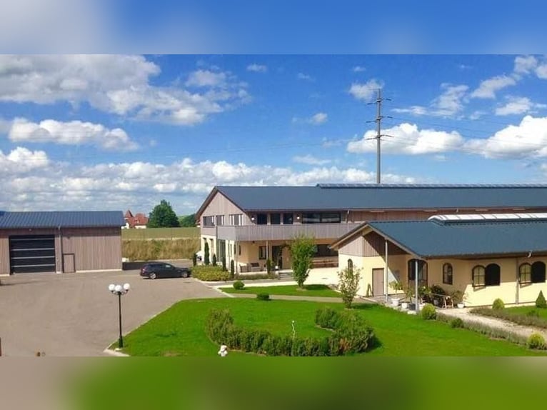 Svizzera orientale - Esclusivo centro equestre con villa mediterranea e ampio terreno