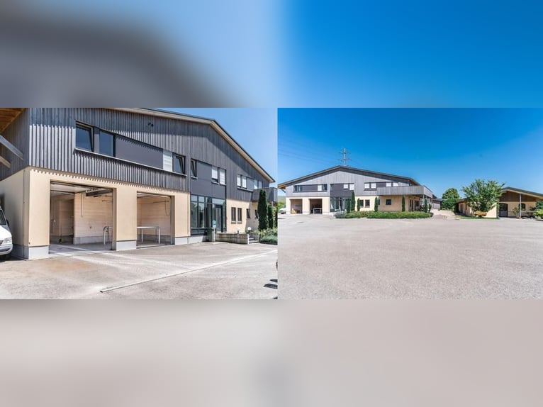 Svizzera orientale - Esclusivo centro equestre con villa mediterranea e ampio terreno