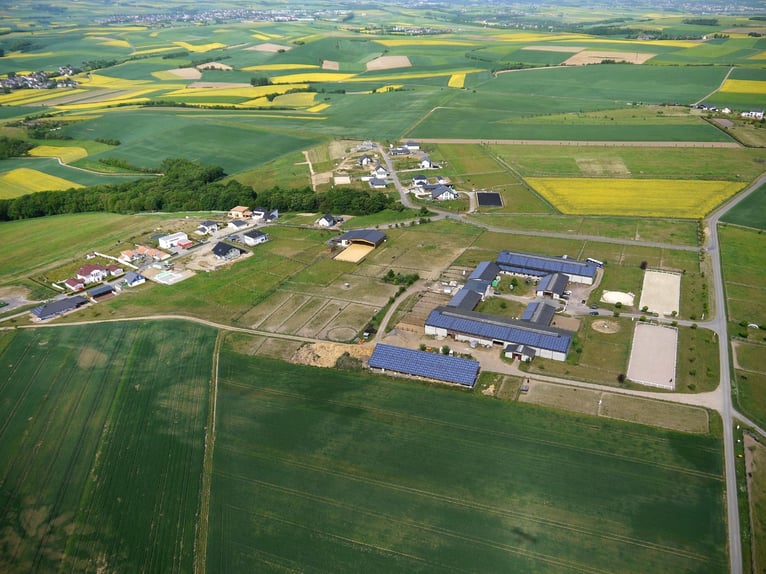 Terreno dei sogni di 2.075 m² per cavalli e persone con diritto di costruzione di stalle a Lonnig/RL