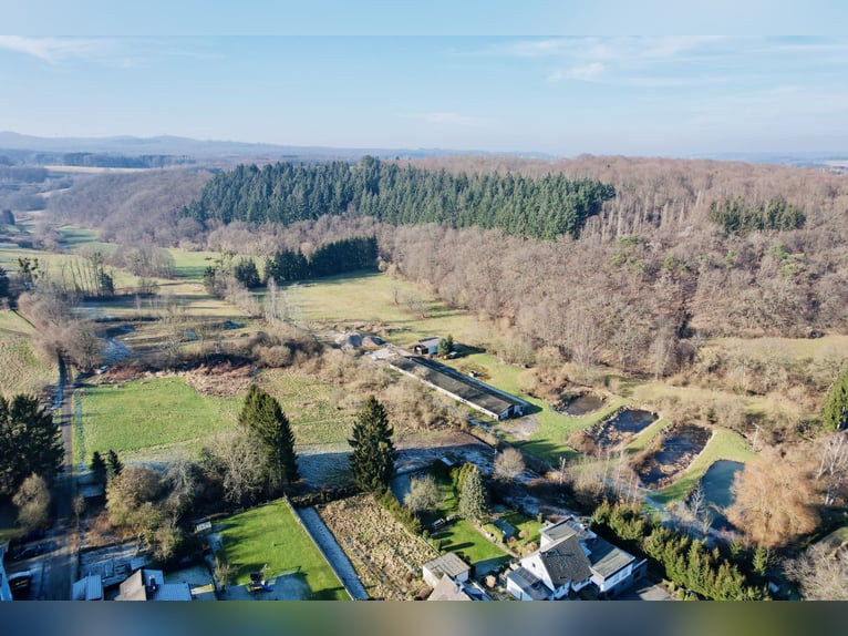 Traumgrundstück für Mehrgenerationenwohnsitz mit Reitanlage -Alleinlage bei Montabaur