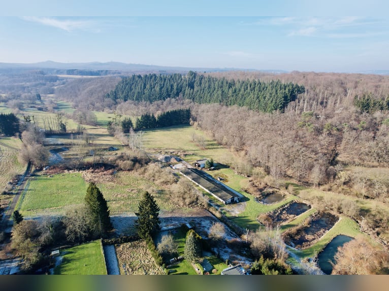 Traumgrundstück für Mehrgenerationenwohnsitz mit Reitanlage -Alleinlage bei Montabaur