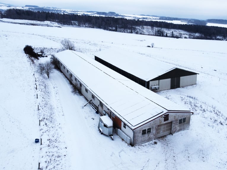 Traumhafte Reitanlage mit Reiterstube – Alleinlage inmitten Südthüringer Natur + perfekte Anbindung