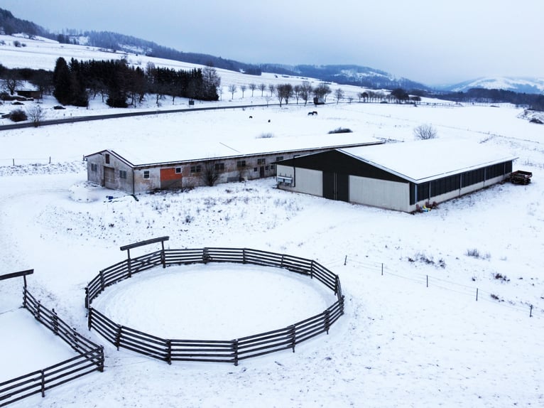 Traumhafte Reitanlage mit Reiterstube – Alleinlage inmitten Südthüringer Natur + perfekte Anbindung