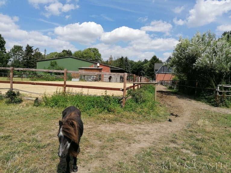 Traumhaftes Anwesen für Pferdebesitzer - Kernsaniertes Landhaus: flutsicher, auf 2,9 Hektar Land!