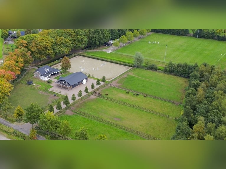 Una splendida location per il benessere dei cavalli!