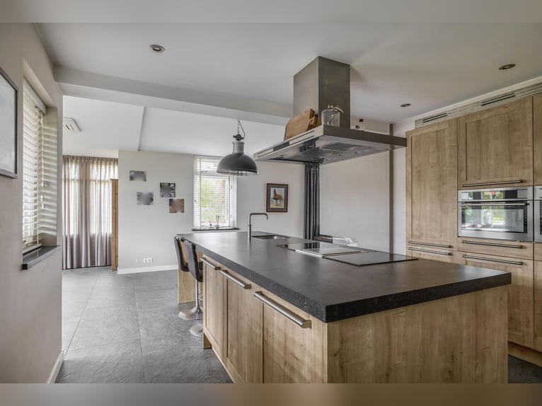 Una splendida location per il benessere dei cavalli!