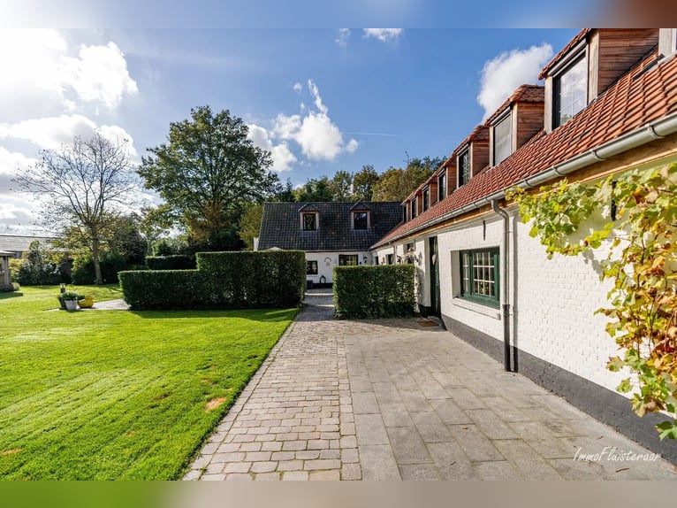 Unieke trainingsstal met prachtige villa op ca. 1 ha te Halle-Zoersel (Mogelijkheid tot aankoop extr