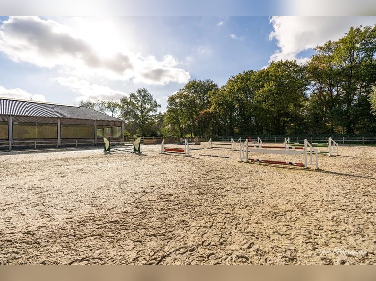 Unieke trainingsstal met prachtige villa op ca. 1 ha te Halle-Zoersel (Mogelijkheid tot aankoop extr