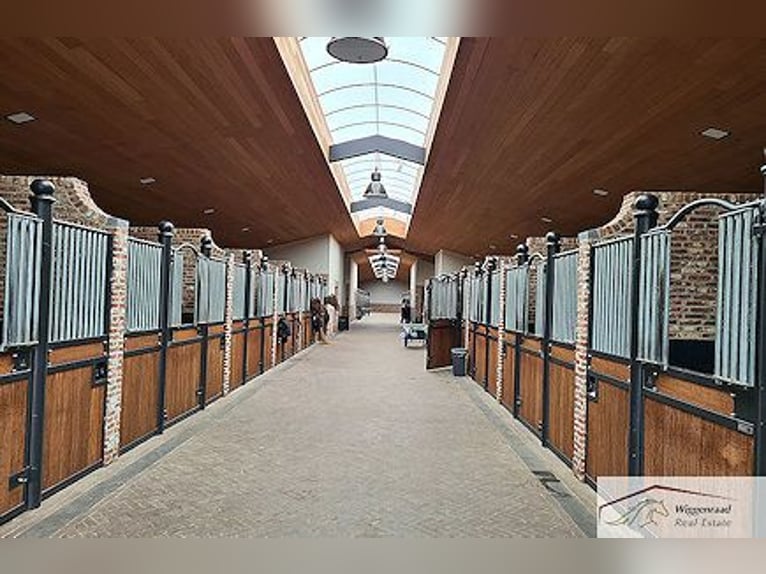 VENDUTO: Un esclusivo centro equestre di alta gamma vicino a Monaco di Baviera, Germania