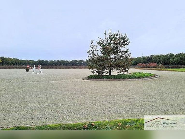 VENDUTO: Un esclusivo centro equestre di alta gamma vicino a Monaco di Baviera, Germania