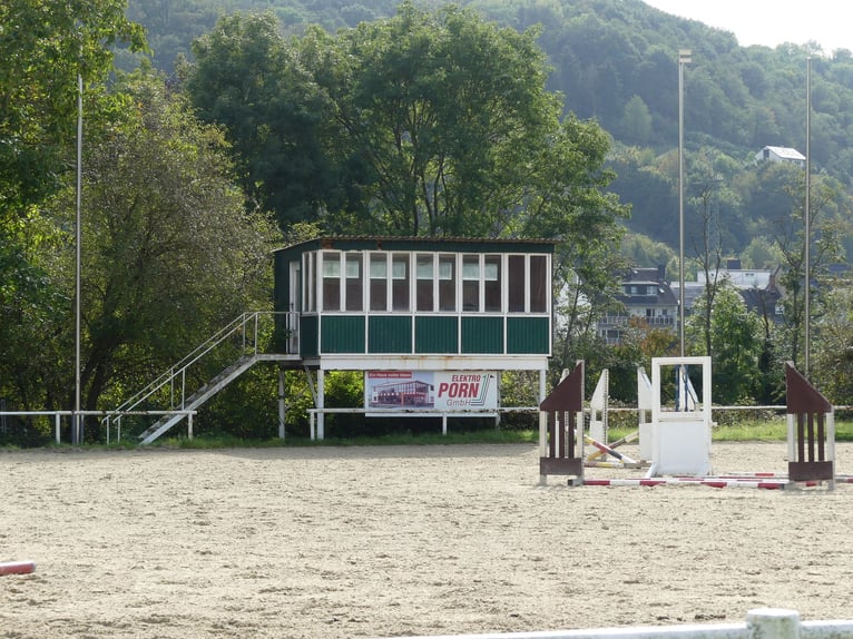 Vergabe der Reitsportanlage Monaise im Erbbaurecht