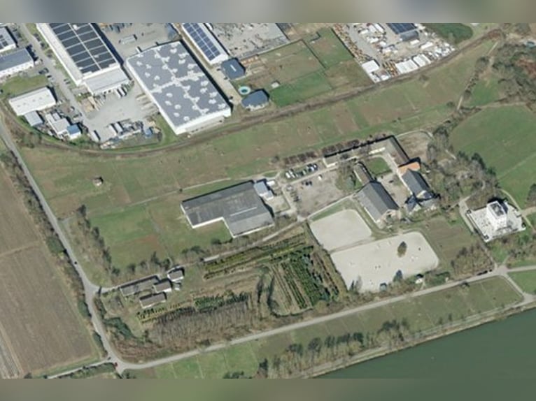 Vergabe der Reitsportanlage Monaise im Erbbaurecht