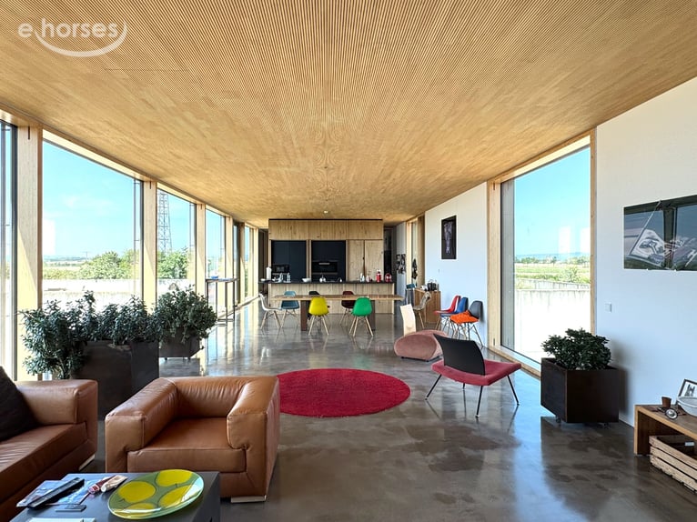 Villa dall’architettura moderna con maneggio coperto di 60 m e innovativo concetto di gestione V1493