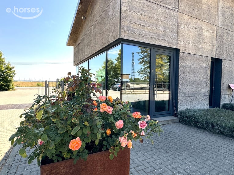 Villa dall’architettura moderna con maneggio coperto di 60 m e innovativo concetto di gestione V1493