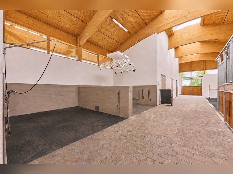 Villa di lusso con centro equestre nei pressi di Fulda, Assia – Benessere, equitazione e stile di vi