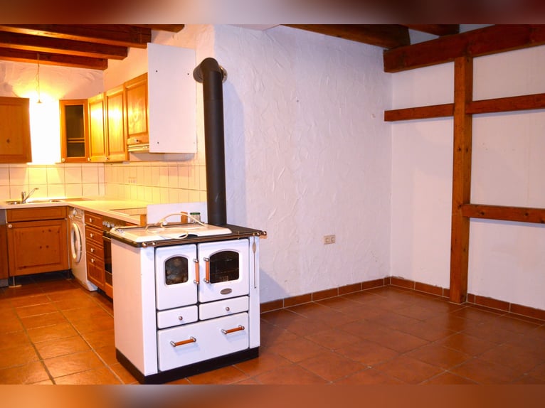 Vivere con i cavalli in Alta Algovia