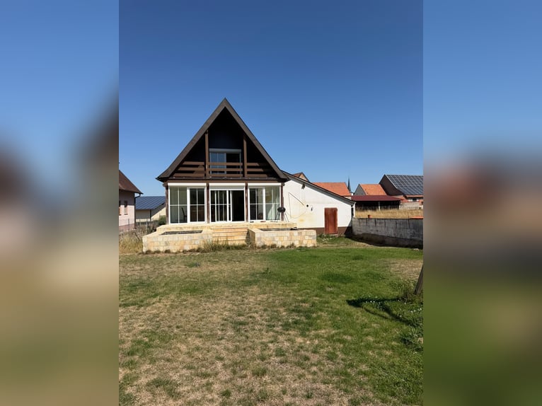 Vivere con il cavallo in una bella casa unifamiliare con 6.000 mq di prato e una piccola arena di 15