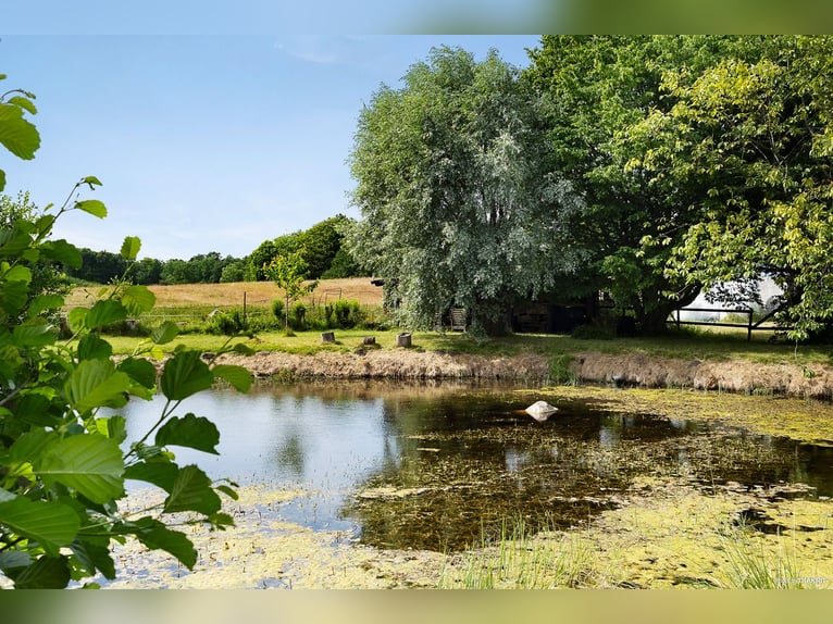 Vivi il sogno alla porta di Österlen – tenuta equestre, recinto per cervi, fiume..