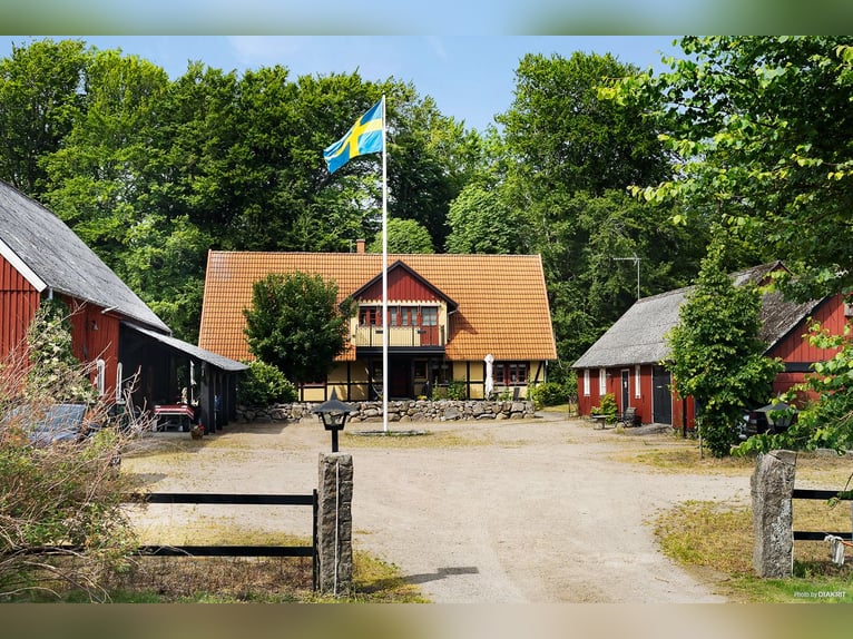 Vivi il sogno alla porta di Österlen – tenuta equestre, recinto per cervi, fiume..