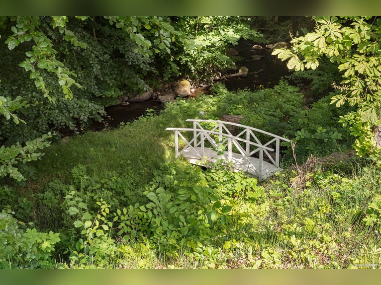Vivi il sogno alla porta di Österlen – tenuta equestre, recinto per cervi, fiume..