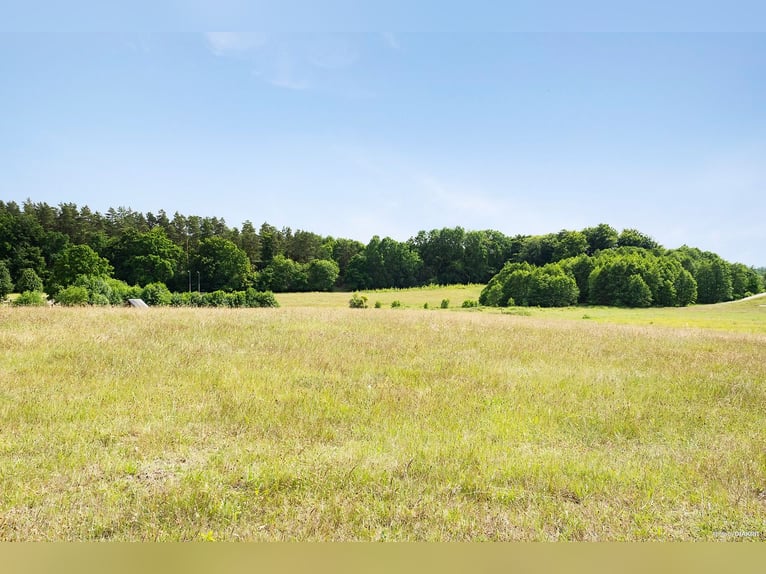 Vivi il sogno alla porta di Österlen – tenuta equestre, recinto per cervi, fiume..