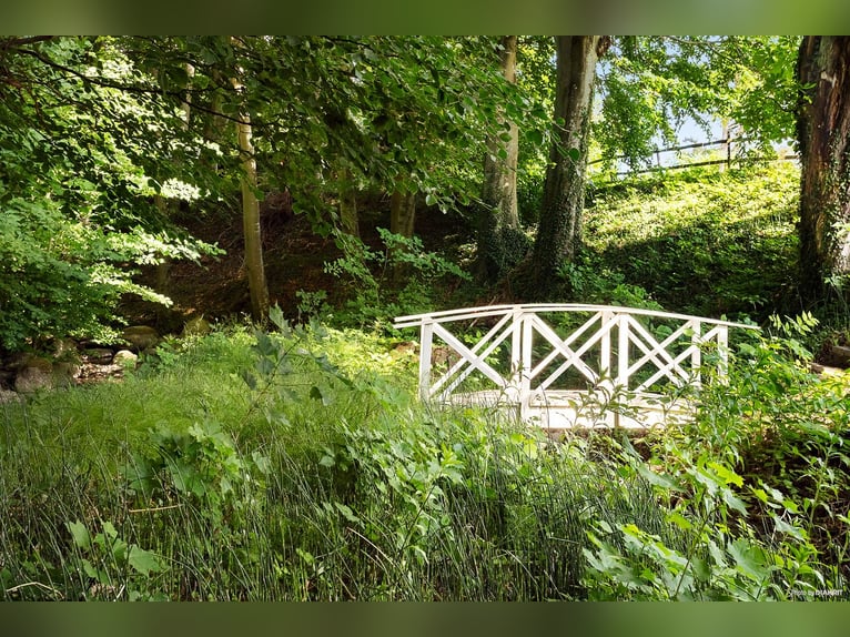 Vivi il sogno alla porta di Österlen – tenuta equestre, recinto per cervi, fiume..