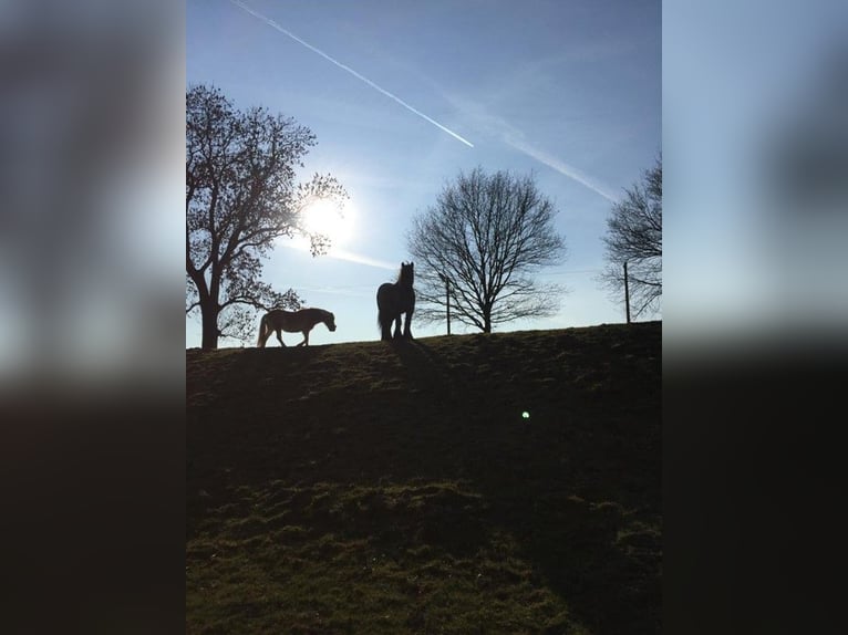 Wohnanlage mit historischem Flair auf Parkgrundstück mit eigenem See für Natur- und Tierliebhaber!