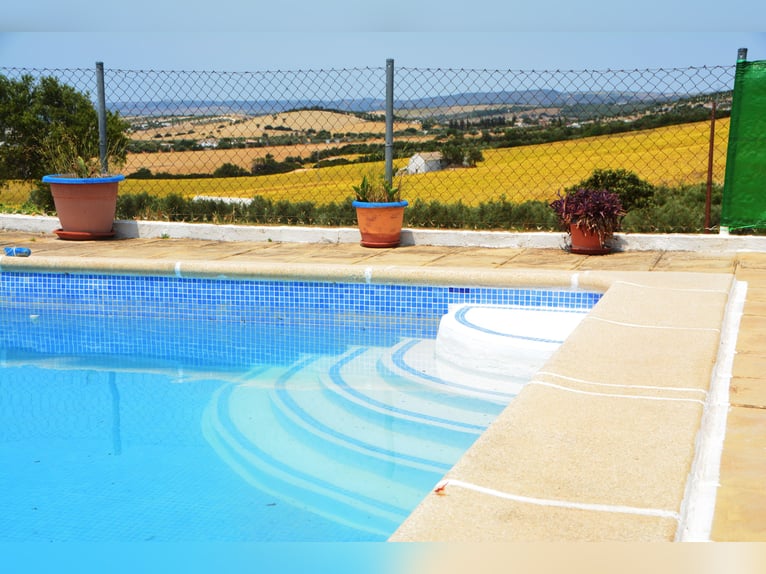 Wunderschöne Finca, ideal  für Pferdehaltung, in Arcos de la Frontera