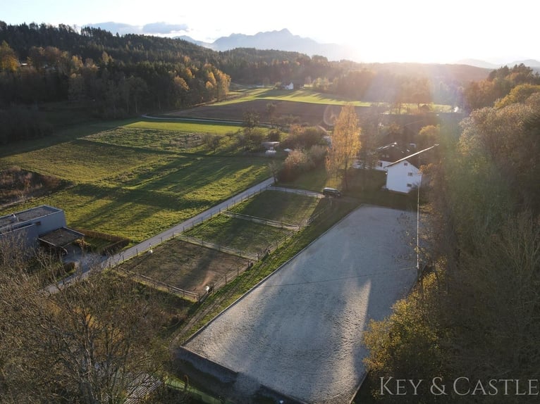 Wunderschönes Anwesen mit Landhaus, Pferdestallungen und Koppeln mit Wörtherseeblick 