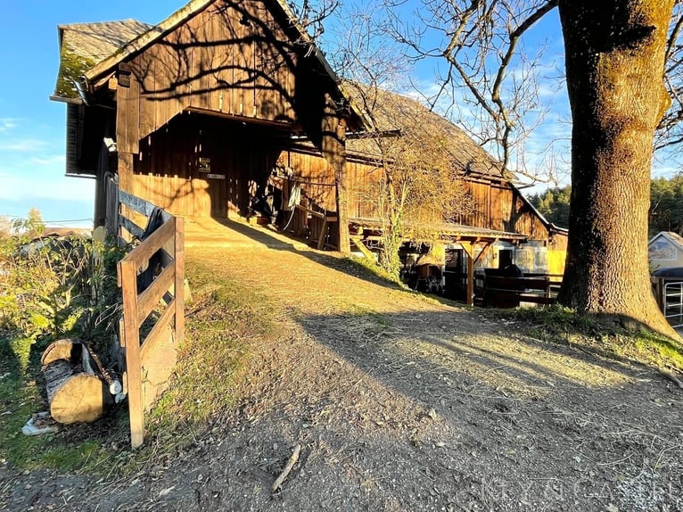 Wunderschönes Anwesen mit Landhaus, Pferdestallungen und Koppeln mit Wörtherseeblick 