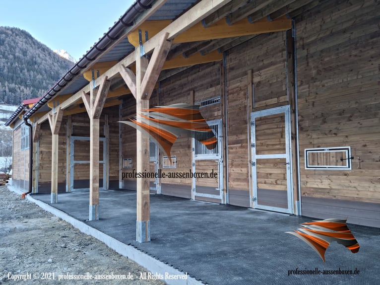 Costruzione di stalle e box per cavalli – box esterni e box per equini – Riparo