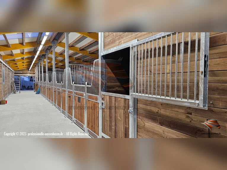 Costruzione di stalle e box per cavalli, box esterni - Realizzazione di box e paddock per cavalli