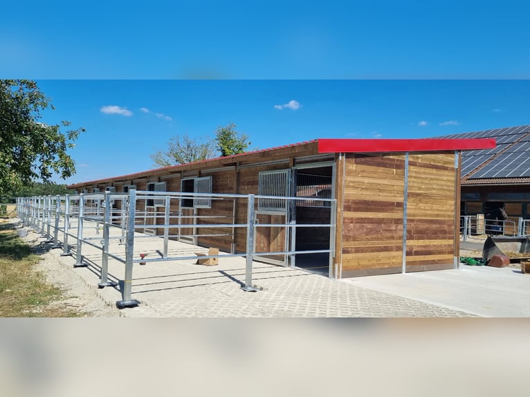 Costruzione di stalle e box per cavalli - Stalle esterne e box per cavalli | Rifugio per cavalli