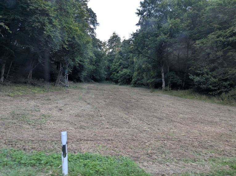 Dienstleistungen für Private Pferdehalter  Dienstleistungen für Private Pferdehalter