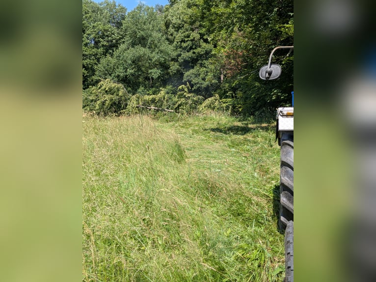 Dienstleistungen für Private Pferdehalter  Dienstleistungen für Private Pferdehalter