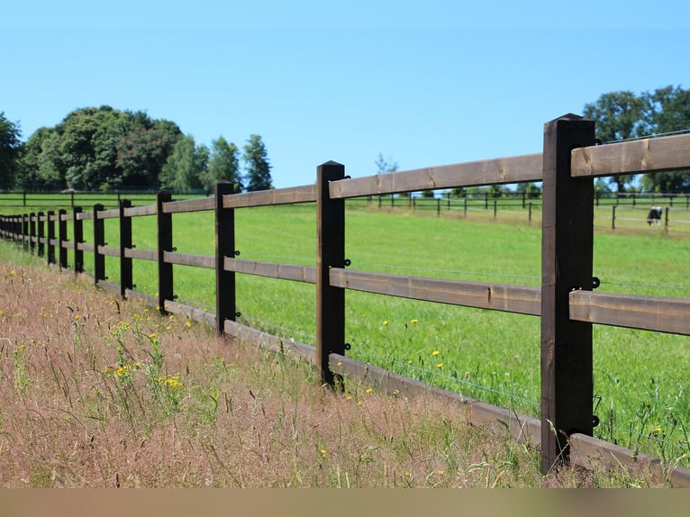 DISPONIBILE! Recinzione per giardino | Recinzione in legno | Cancello in legno