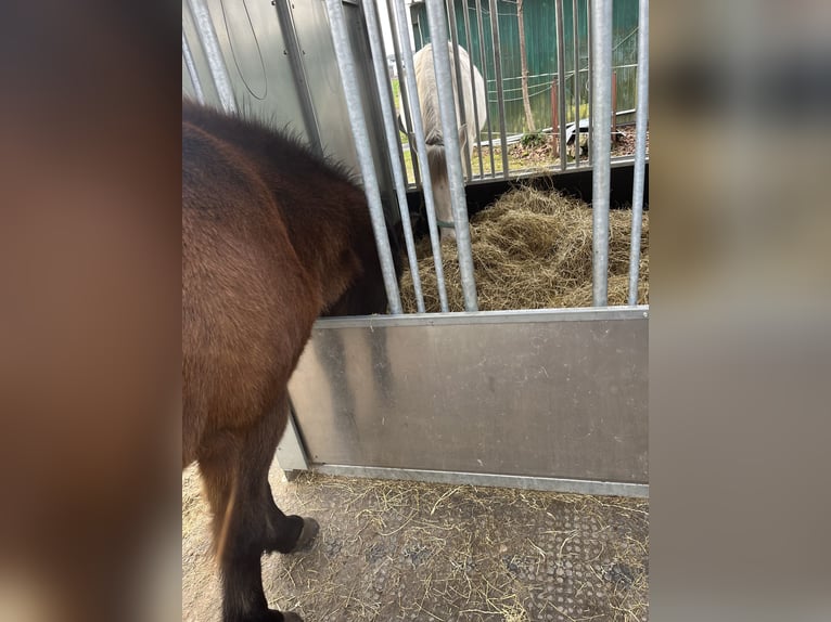 INNOVATIVE FUTTERMACHINE aus Finnland 