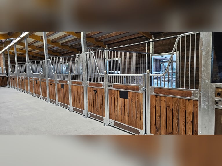 Box, frontali e sistemi di box | Acquisto di box per cavalli - box interne per cavalli