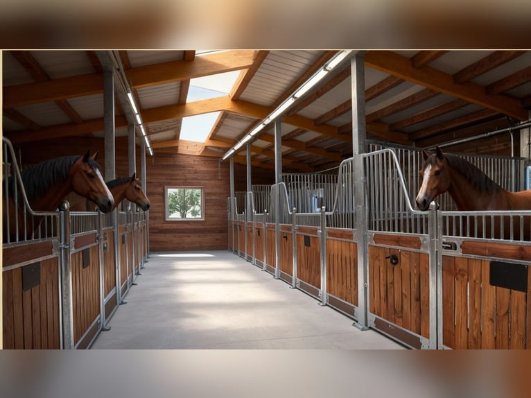 Box, frontali e sistemi di box | Acquisto di box per cavalli - box interne per cavalli