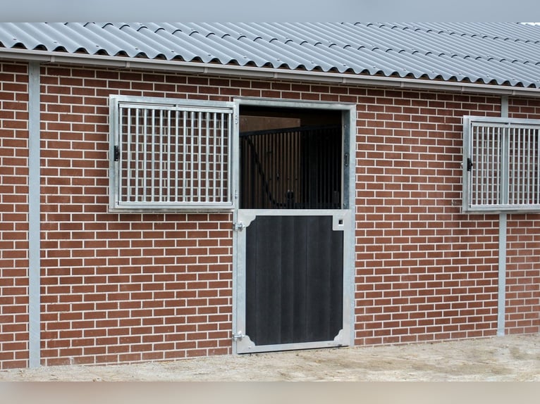 Porta stalla con vetro di sicurezza | Porta per box | Porta per stalla